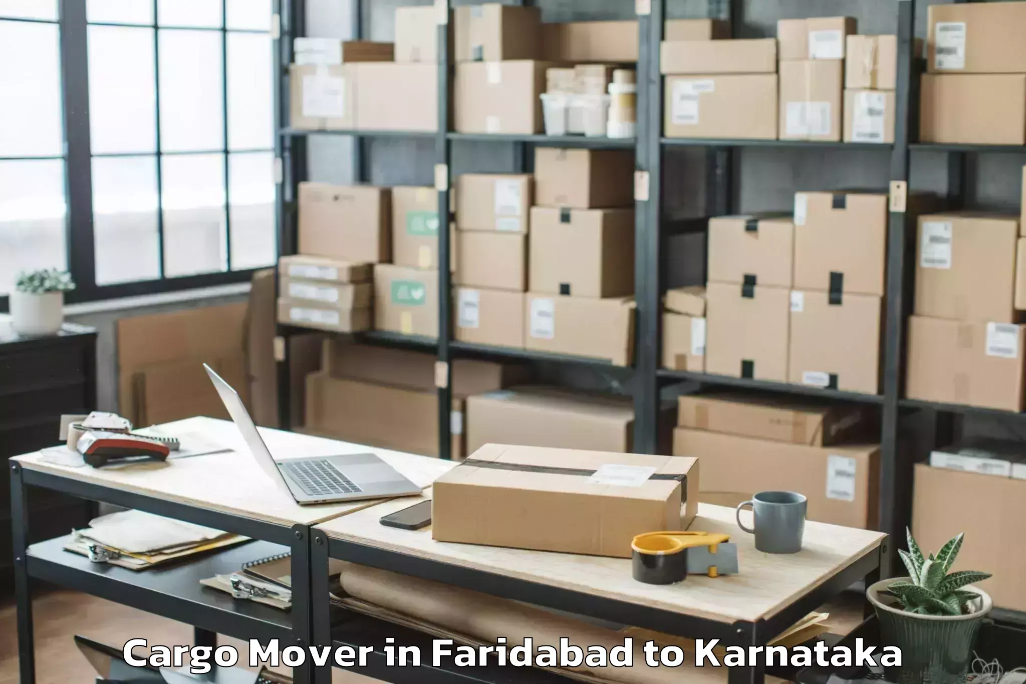 Easy Faridabad to Manvi Cargo Mover Booking